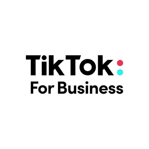 TikTok Ads - visual reference